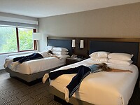 IMG_6012