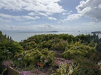 IMG_0205
