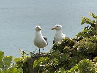 IMG_0207