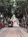 IMG_0265