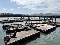 IMG_6226