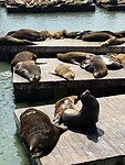 IMG_6229