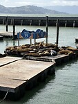 IMG_6230