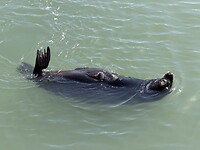 IMG_0507