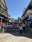 IMG_6239