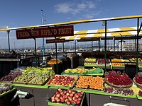 IMG_6245