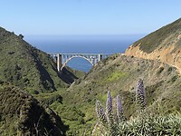 IMG_0650