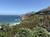 IMG_6345