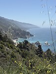 IMG_6355