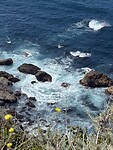 IMG_0680