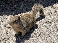 IMG_0700