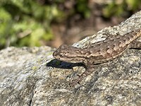 IMG_0685
