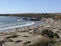 IMG_0706
