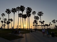 IMG_0858