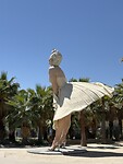 IMG_6535