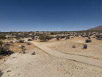 IMG_0913