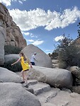 IMG_6566