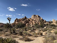 IMG_0933