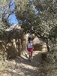 IMG_6584