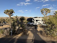IMG_0943