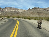 IMG_6632