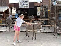 IMG_6647