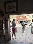 IMG_6651