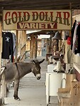 IMG_1046