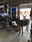 IMG_1048