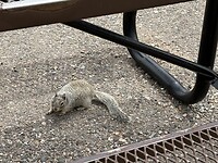 IMG_6822