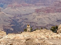 IMG_6836