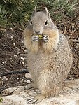 IMG_1370
