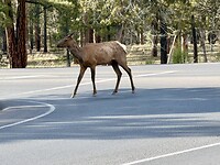 IMG_1180