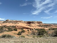 IMG_7238