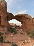 IMG_2040