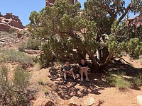 IMG_7307