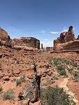 IMG_7308