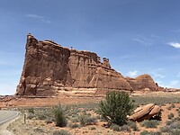 IMG_7311
