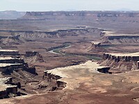 IMG_2220