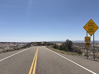 IMG_7464