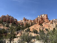 IMG_7481