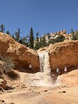IMG_7491