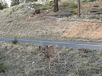 IMG_7553
