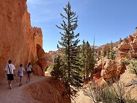 IMG_7606