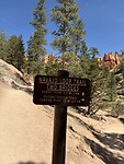 IMG_7611
