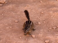 IMG_7645