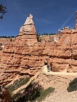 IMG_7646
