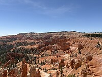 IMG_7662