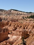 IMG_7663