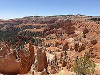 IMG_7664